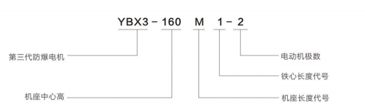 ybx3 (1)